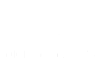 DigitalFlakes, λογότυπο